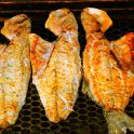 Bluefish roasted vegetables